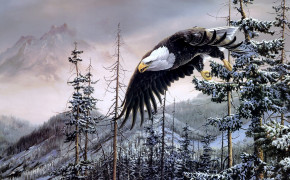 Bald Eagle Background Wallpaper 19751