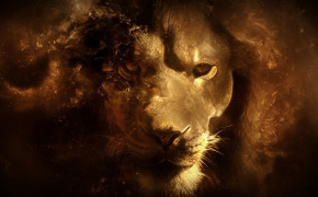Lion Art HD Desktop Wallpaper 20212