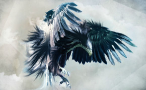 Harpy Eagle Background Wallpaper 20964
