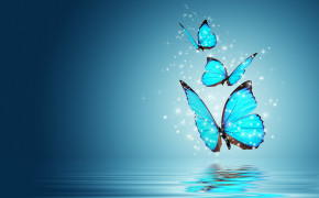 Blue Morpho Butterfly HD Wallpapers 20748