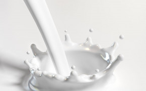 Milk Images 02103