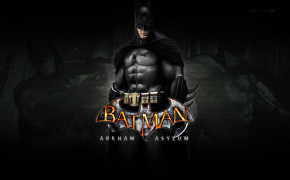 Batman Arkham Asylum Photos 01956