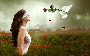 Girl With Rose Background Wallpapers 20871