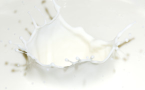 Milk Pictures 02107