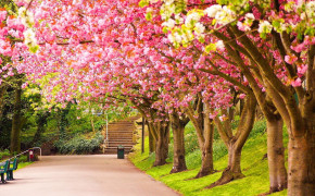 Spring Latest Wallpapers 02144