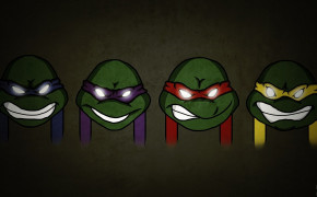 Ninja Turtle Mask High Definition Wallpaper 22045
