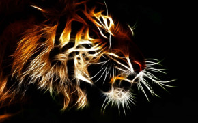 3D Tiger High Definition Wallpaper 22781