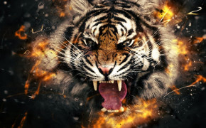 3D Tiger HQ Desktop Wallpaper 22782