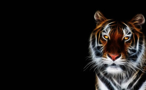 3D Tiger Wallpaper HD 22783