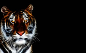 3D Tiger Widescreen Wallpapers 22785