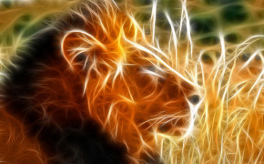 3D Lion HD Desktop Wallpaper 22742