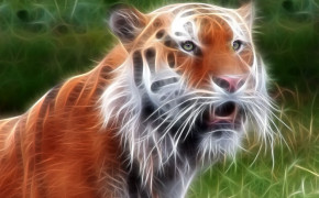 3D Tiger Desktop Wallpaper 22777