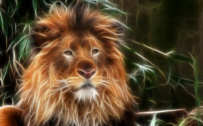 3D Lion HD Background Wallpaper 22741
