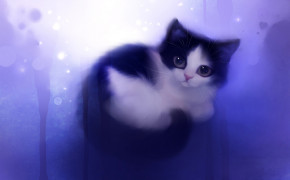 3D Cat Background Wallpapers 22668
