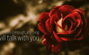 Best Love Quotes HD Wallpaper 00231