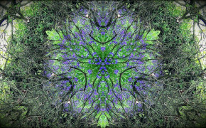 Kaleidoscope Wallpaper 23154