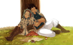 Gajeel And Levy Wallpaper 24302