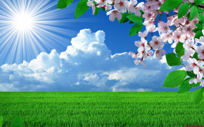 Spring Landscape Desktop Wallpaper 25908