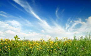 Sunny Day Background Wallpaper 25958