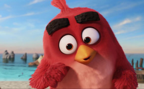 Angry Birds Red Wallpaper HD 26061