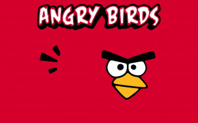 Angry Birds Red High Definition Wallpaper 26058