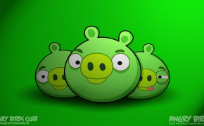 Angry Birds Pig Wallpaper 26048