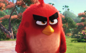 Angry Birds Red HD Desktop Wallpaper 26055