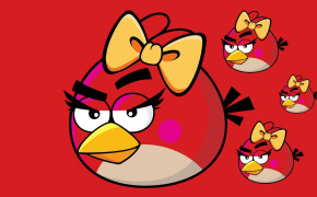 Angry Birds Red HQ Desktop Wallpaper 26060