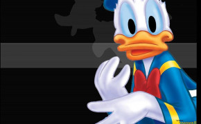 Donald Duck Desktop Wallpaper 26193