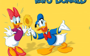 Donald Duck Wallpaper 26202