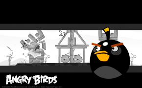 Angry Birds Bomb HQ Desktop Wallpaper 26035