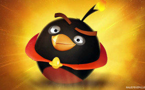 Angry Birds Bomb HD Wallpapers 26033
