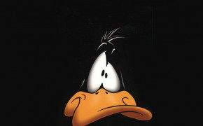 Daffy Duck Widescreen Wallpapers 26175