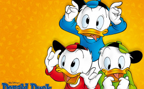 Donald Duck HD Wallpapers 26197