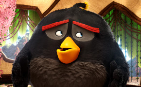 Angry Birds Bomb High Definition Wallpaper 26034