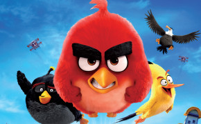 Angry Birds Red Widescreen Wallpapers 26066