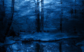 Blue Forest HD Wallpaper 25601