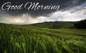 Rain is Coming Good Morning Wallpaper 26804