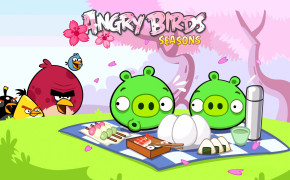 Angry Birds Pig Background Wallpaper 26039