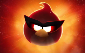 Angry Birds Red HD Wallpaper 26056