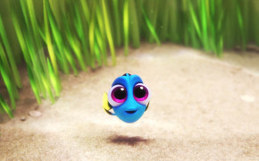Cute Baby Dory In Finding Dory Wallpaper 02609