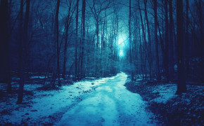 Blue Forest HQ Background Wallpaper 25604