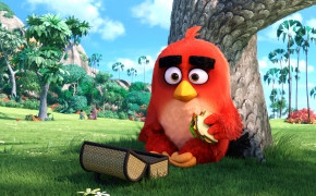 Angry Birds Red HQ Background Wallpaper 26059