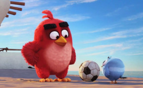 Angry Birds Red Best Wallpaper 26052