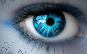 Blue Eyes High Definition Wallpaper 20736