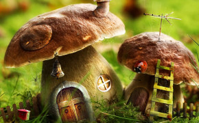 Mushroom House HD Desktop Wallpaper 26934