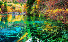 Crystalline Turquoise Lake Jiuzhaigou National Park China HD Wallpapers 27184