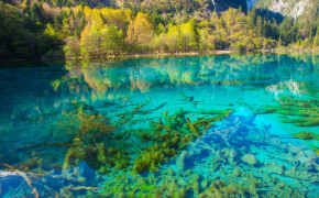 Crystalline Turquoise Lake Jiuzhaigou National Park China Wallpaper HD 27186