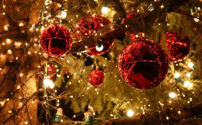 Tree Decoration Widescreen Wallpapers 27453