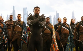 Chadwick Boseman Black Panther Avengers Infinity War Wallpaper 27486
